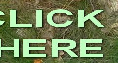 click here to get instant access
